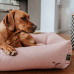 Dog Sofa Inari 60x50 cm, Pastel Red