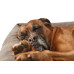 Dog Sofa Bologna 70x50 cm, Stone