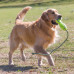 KONG AIRDOG SQUEAKER FETCH STICK 帶繩發聲拋接棒, M KONG AIRDOG SQUEAKER FETCH STICK 帶繩發聲拋接棒, M