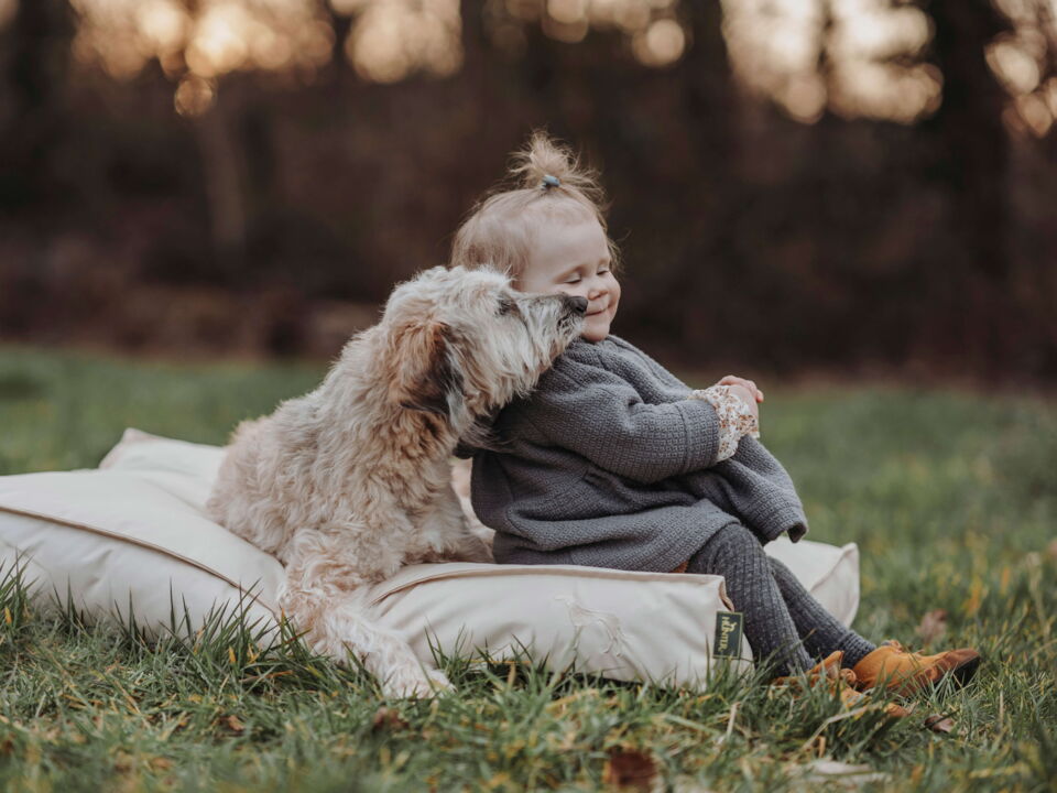 Trust & Loyalty Image