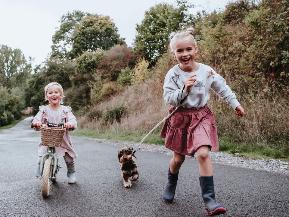 Heart and Soul Image