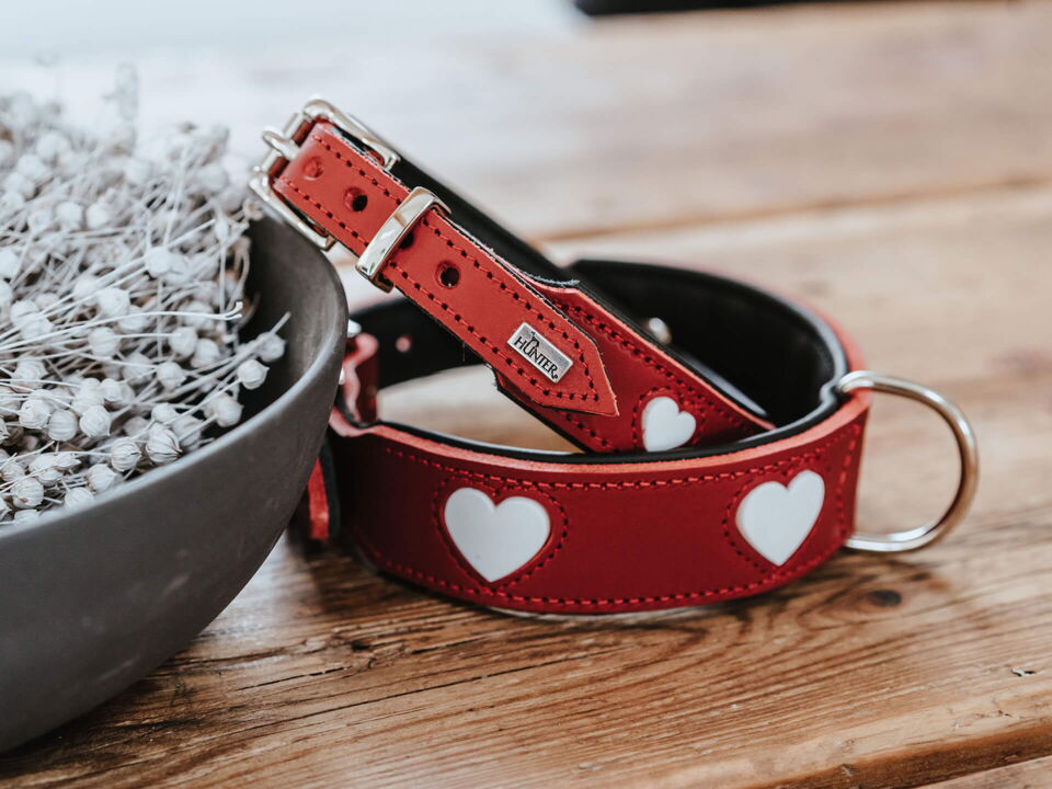 Heart and Soul Image